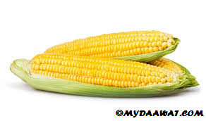 corn-mydaawat